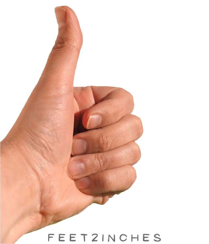 adult-thumb-tip-1-inch