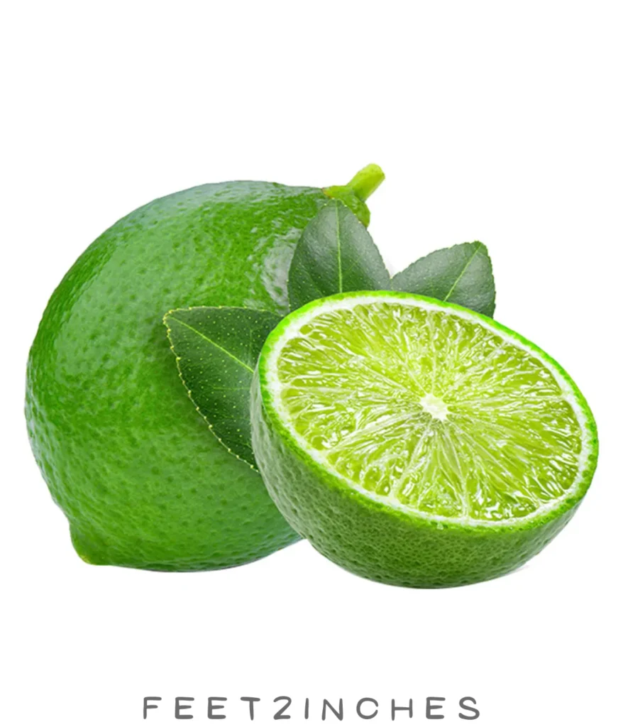 medium-lime-2-inches