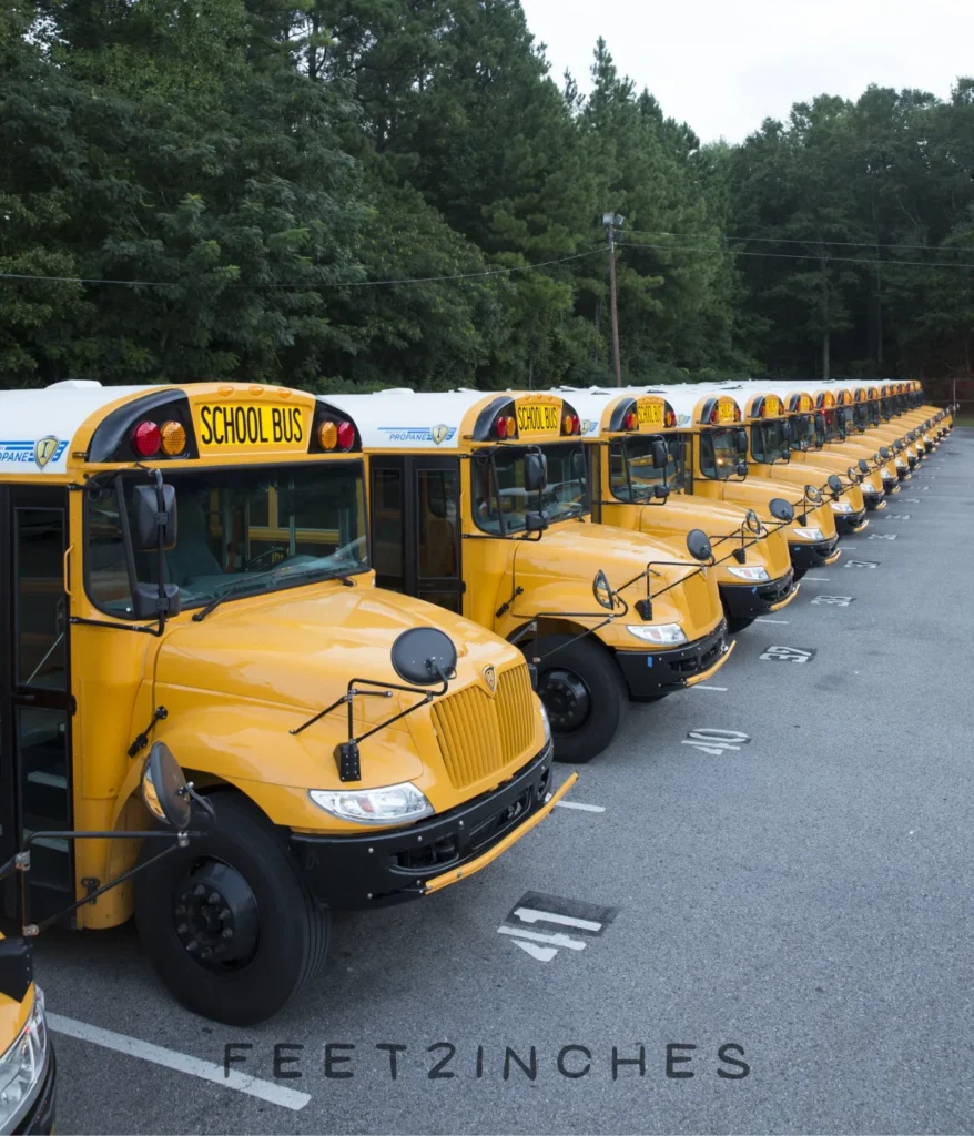 school-bus-lineup-100-feet