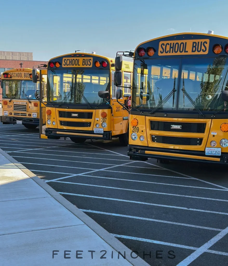 school-buses-500-feet