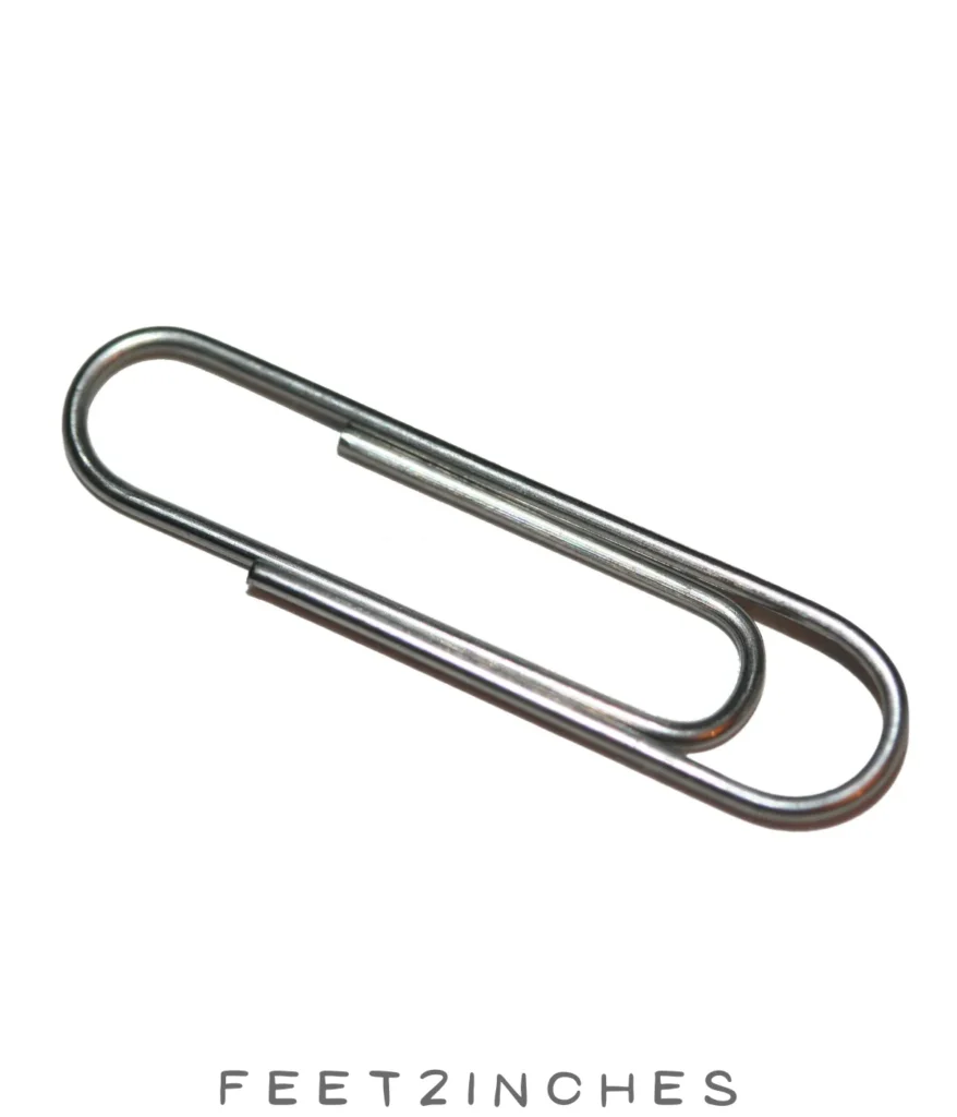 standard-paperclip-2-inches