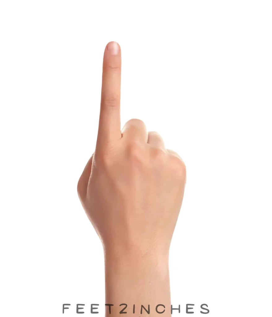 index-finger-2.75-inches
