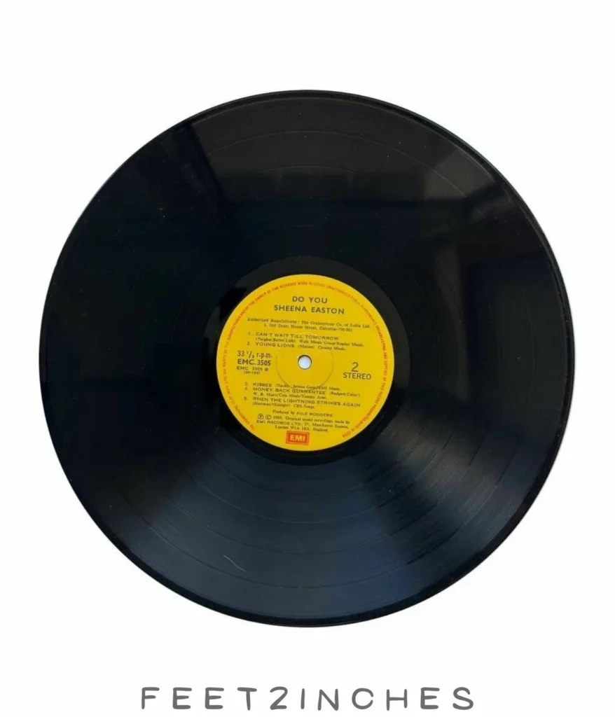 vinyl-lp-record-12-inches