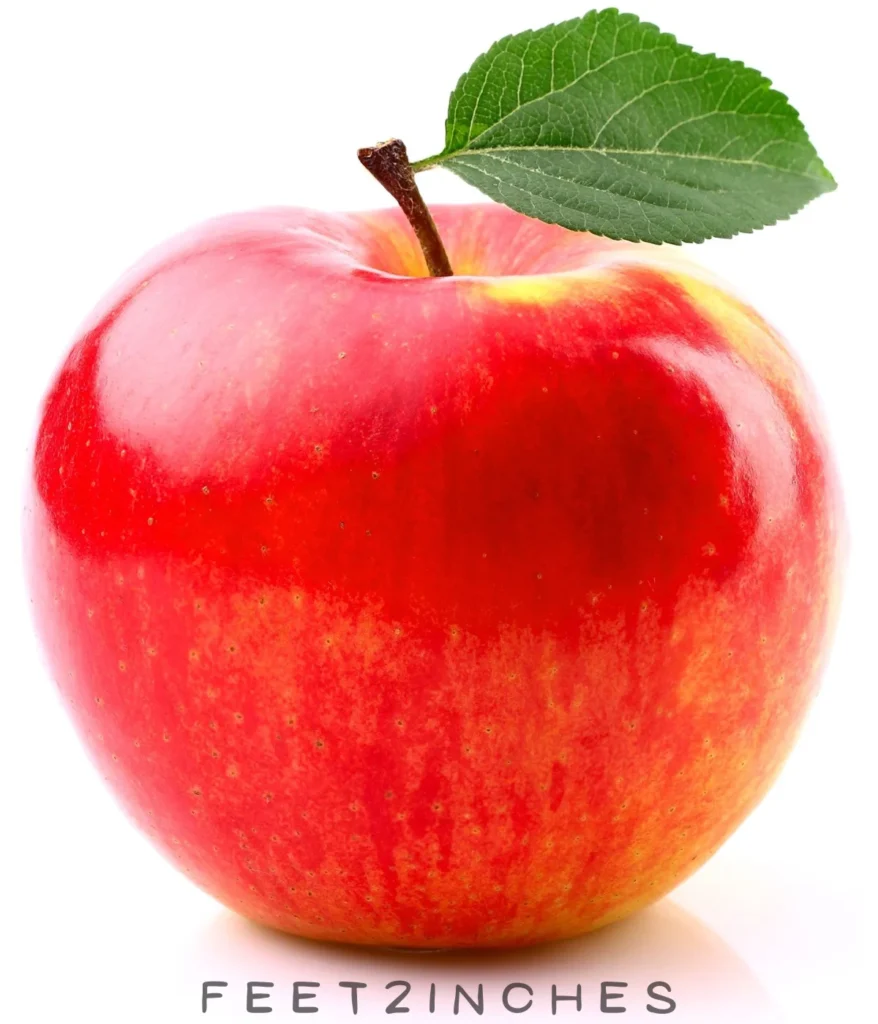 medium-apple-100-grams