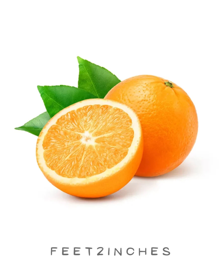 navel-orange-7-ounces