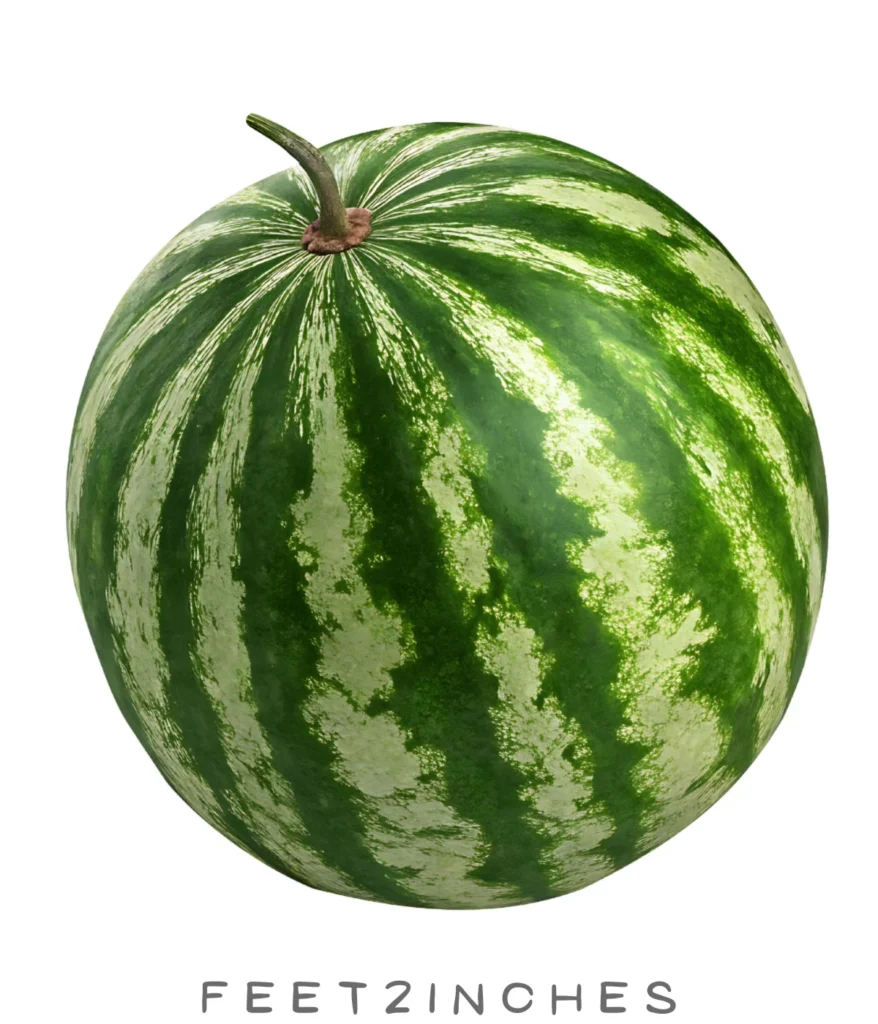 watermelon-10kg-weight