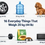 things-are-that-20-kg-weigh