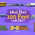 thing-are-that-100-feet-long