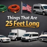 things-are-that-25-feet-long