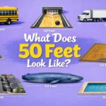 things-are-that-50-feet-long