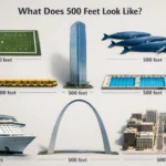 things-are-that-500-feet-long