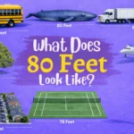things-are-that-80-feet-long