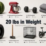 things-that-are-20-pounds