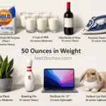 things-that-are-50-ounces