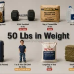 things-that-are-50-pounds