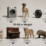 things-that-are-70kg-weight
